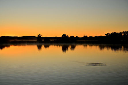 1141BIGHORN  2021 B&C BECK IMAGE.jpg