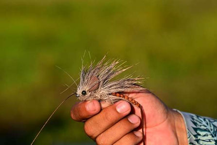 2022 494 PIRA ARGENTINA.jpg