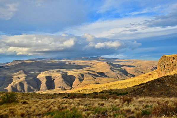 2023 PILOLIL 1264_DxO.JPG