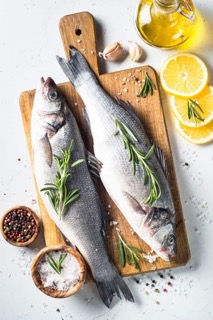 FISH.jpeg