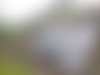 Was versteht man unter dem modularen Konzept?