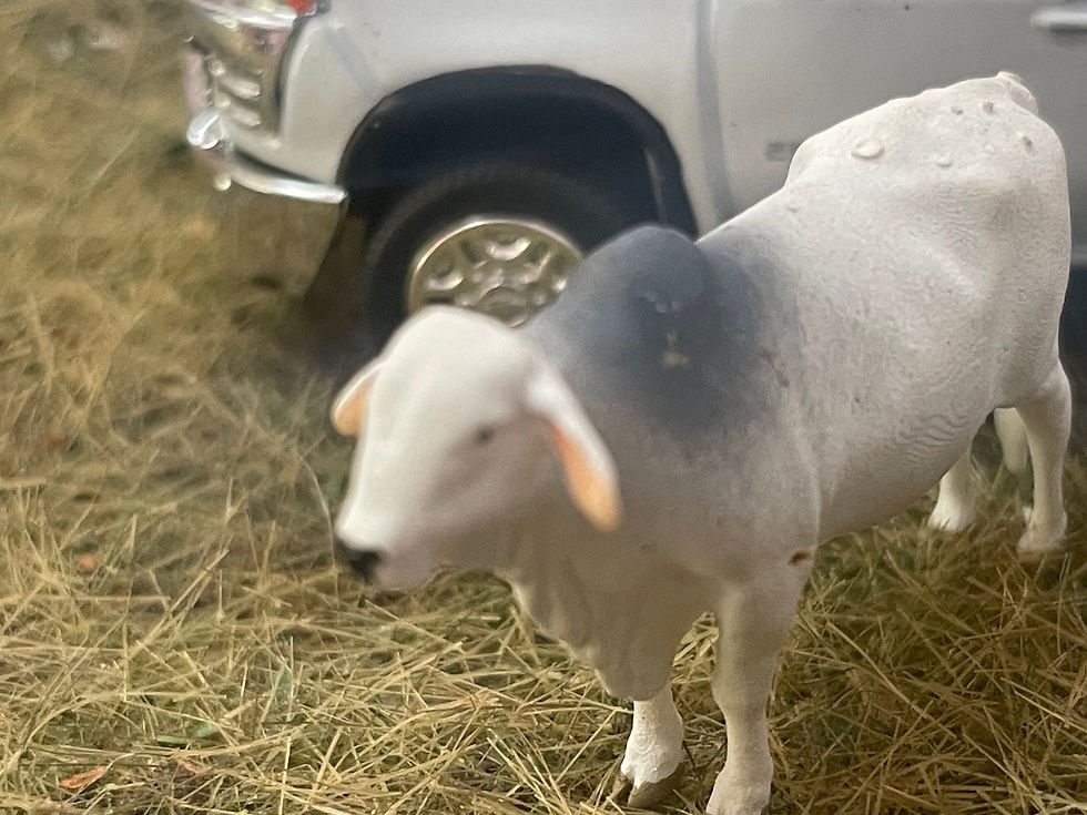 Thumbnail: Cow standing