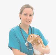 Female veterinarian in blue scrub top, wearing a stethoscope around her neck, and holding a tan colored rabbit