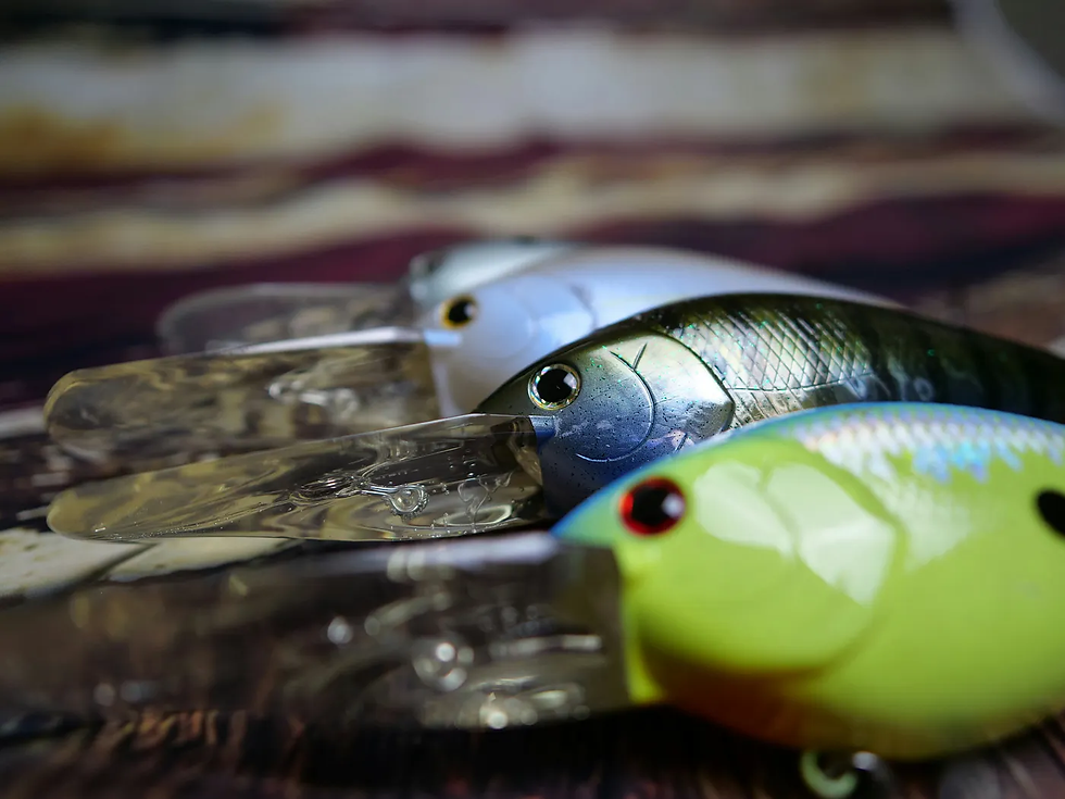 a set of crankbait fishing lures