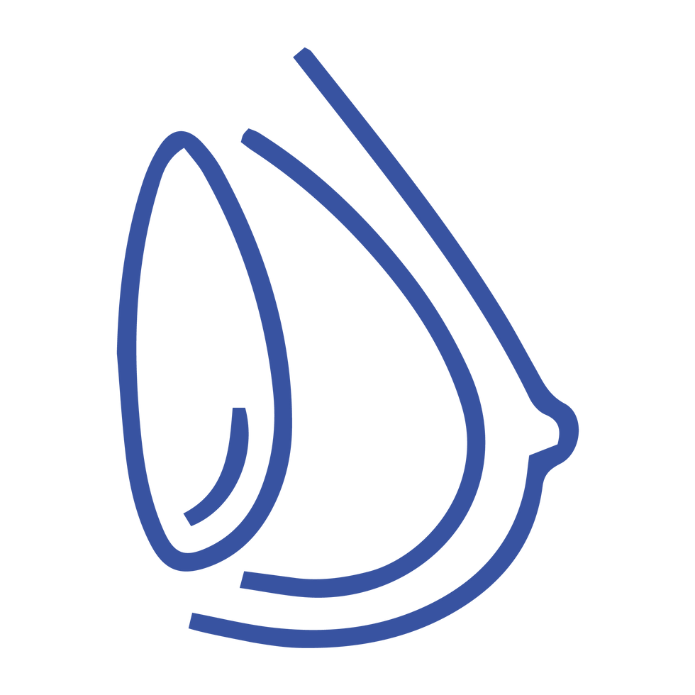 FMD - iconos - Reconstrucción Híbrida.png