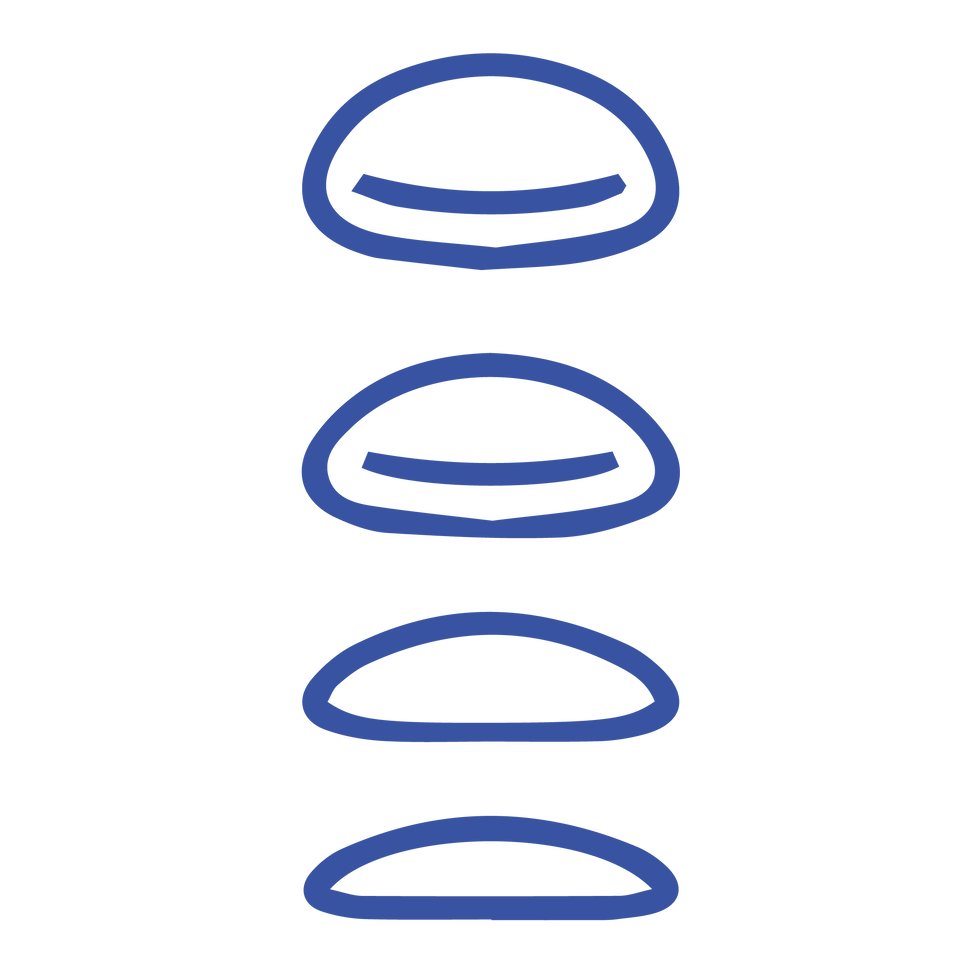FMD - iconos - Reconstrucción Heteróloga.png