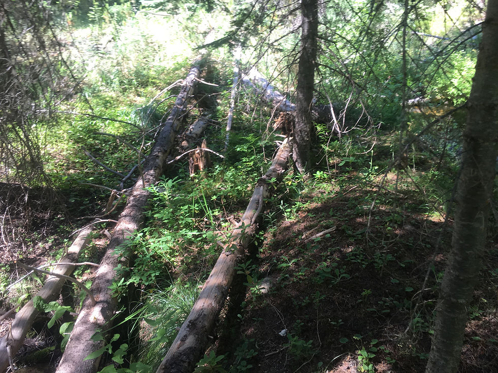 Thumbnail: Gold Creek