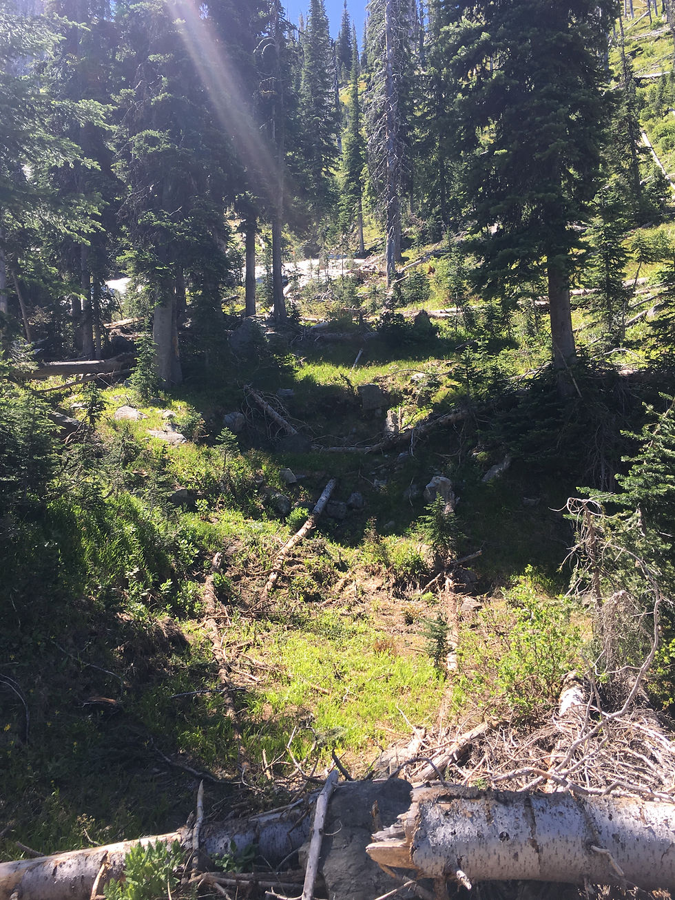 Thumbnail: Box Canyon