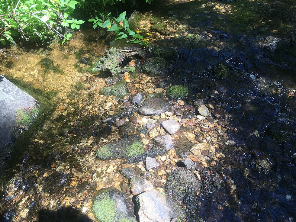 Thumbnail: Gold Creek