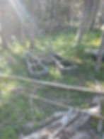 Thumbnail: Old Smokey