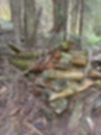 Thumbnail: Hackett's