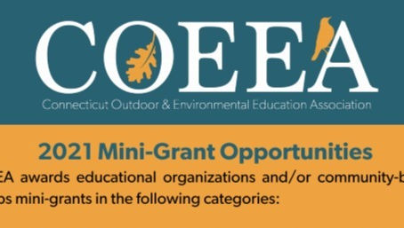 2021 Mini Grants! Applications Now Closed