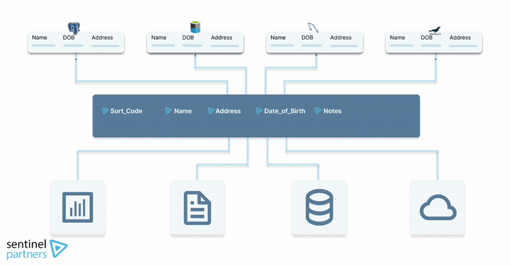 Infographic showing Sentinel data masking