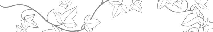 Your paragraph text (6).png