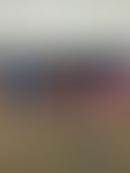 Stone Academy’s 2nd Graders " I Promise" to be BRAVE!