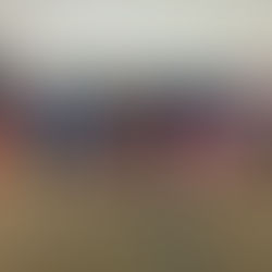 Stone Academy’s 2nd Graders " I Promise" to be BRAVE!