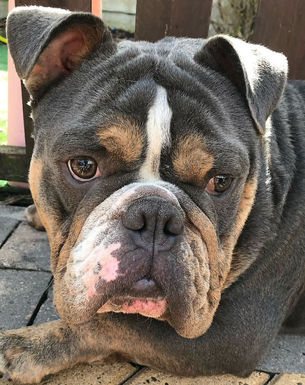 Clear photo reference