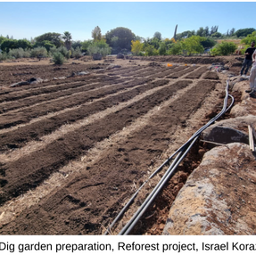 Three Sustainable Methods that will Improve your Garden Production and will cut in Maintaining Time.