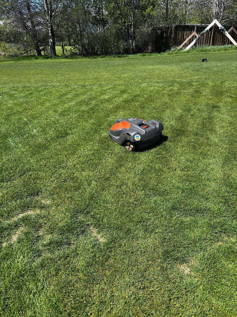 They had robot mowers everywhere on the course. Probably cost 4 people their jobs.