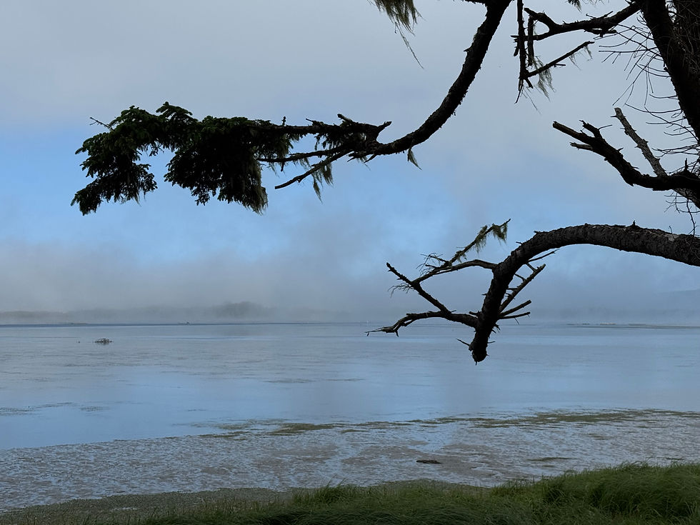 Netarts Bay along the Oregon Coast. It was foggy along the coast so there wasn't much to see. This shallow bay is where Jacobsen Salt comes from; it's filled with millions of oysters that filter the water and make it super clean before they extract the salt.