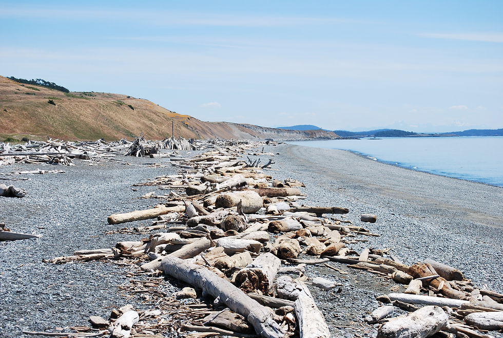 Years of driftwood have built up along the island's South Beach. People make shelters and structures out of it.  It is a rocky beach with volcanic pebbles along the shore. 