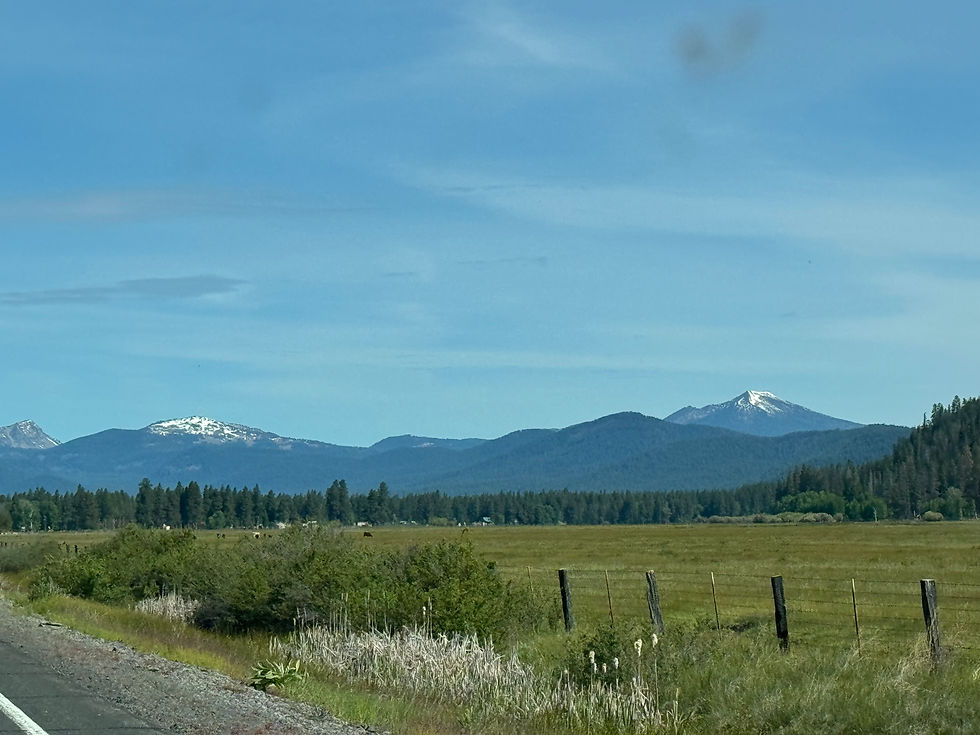The peak of Mt. Mazama went from the snowy part on the left to the snowy part on the right. Imagine somethig 3,000 feet higher than what you see here that blew up and then the remnants settled into the caldera. It was a massive peak.