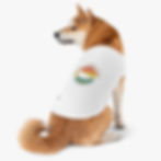 Thumbnail: Respect the Locals: Seal, Pet Tank Top