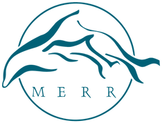 MERR%20Logo_blue_edited.png