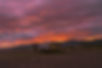 DSC01569_small.jpeg