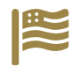 Gold American flag icon