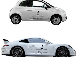 Standard vs. Express Apostille Service: