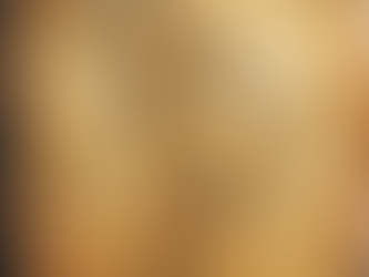 Where the Map Ended.