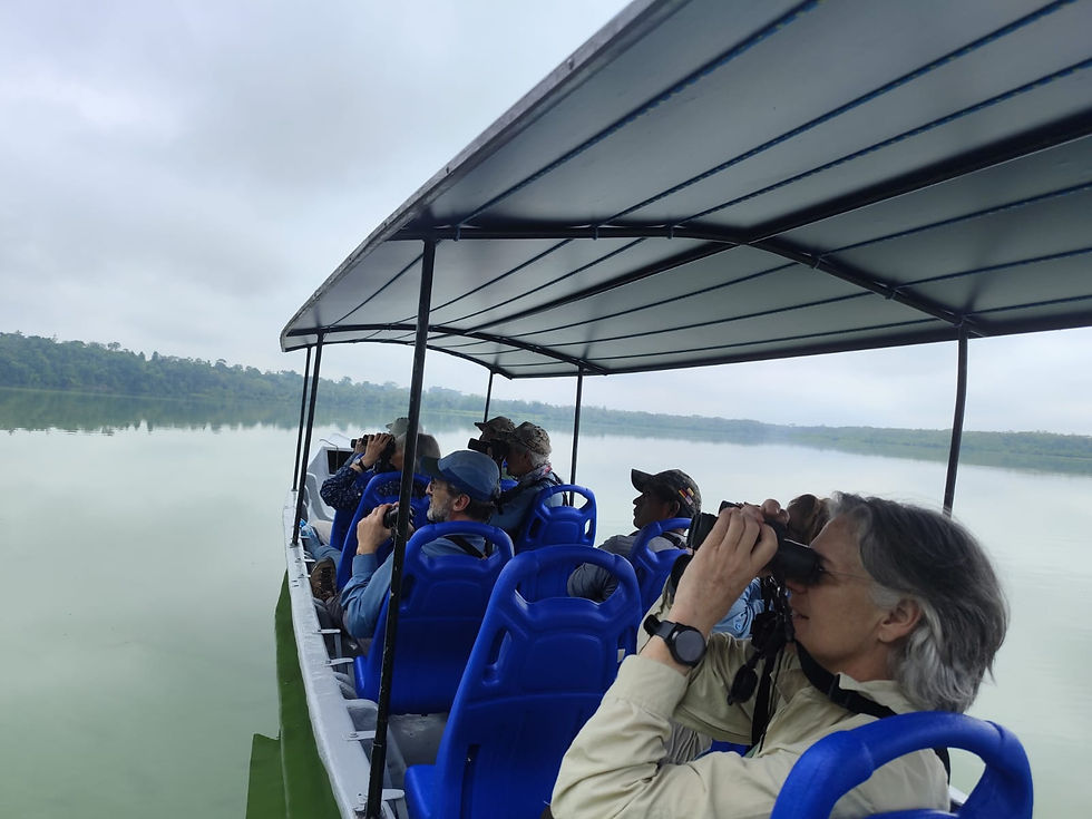 Miniatura: 3D/2N - Limoncocha - Delfin Rosado.