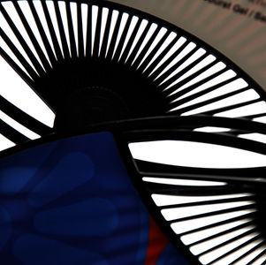 季節外れの(?)うちわ