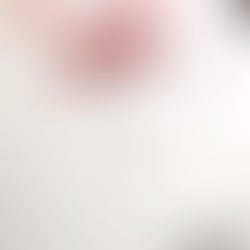 カレンダー、いただきました。