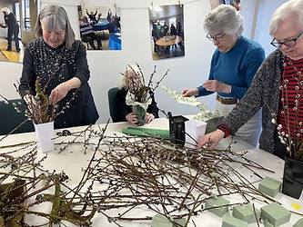 pussy willow art.jpg