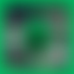 Experience Freedom with Self-Drive Car Rentals: Your Ultimate Travel Companion