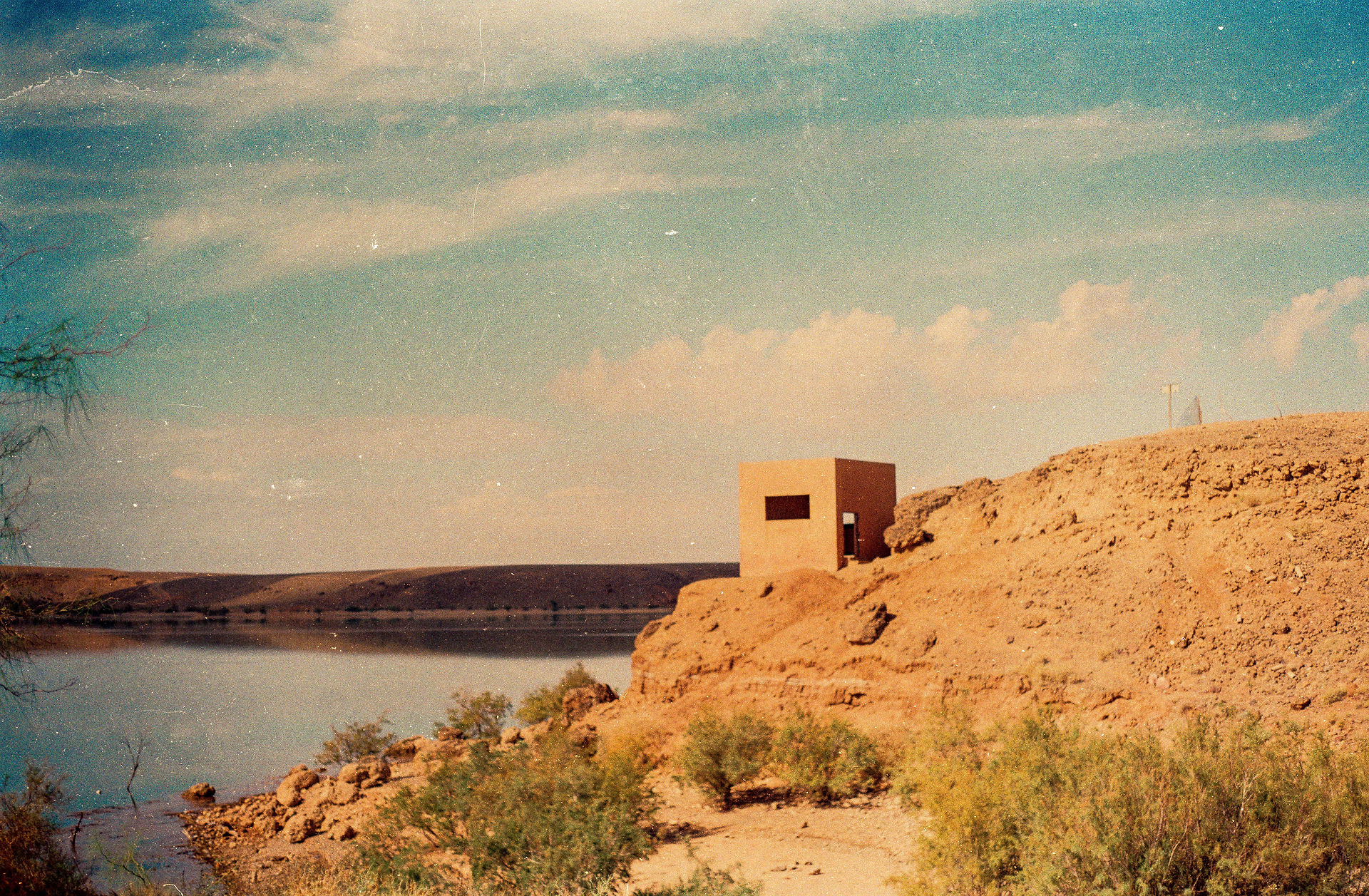 Taz Sar