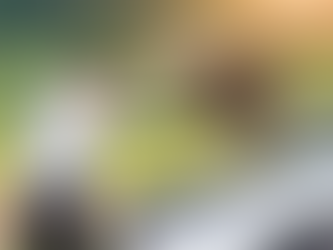 The Impact of Heat on Vehicles: How to Care for Your Car During the Hot Season