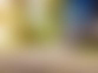 Spring Car Care: Essential Maintenance Tips for the Season