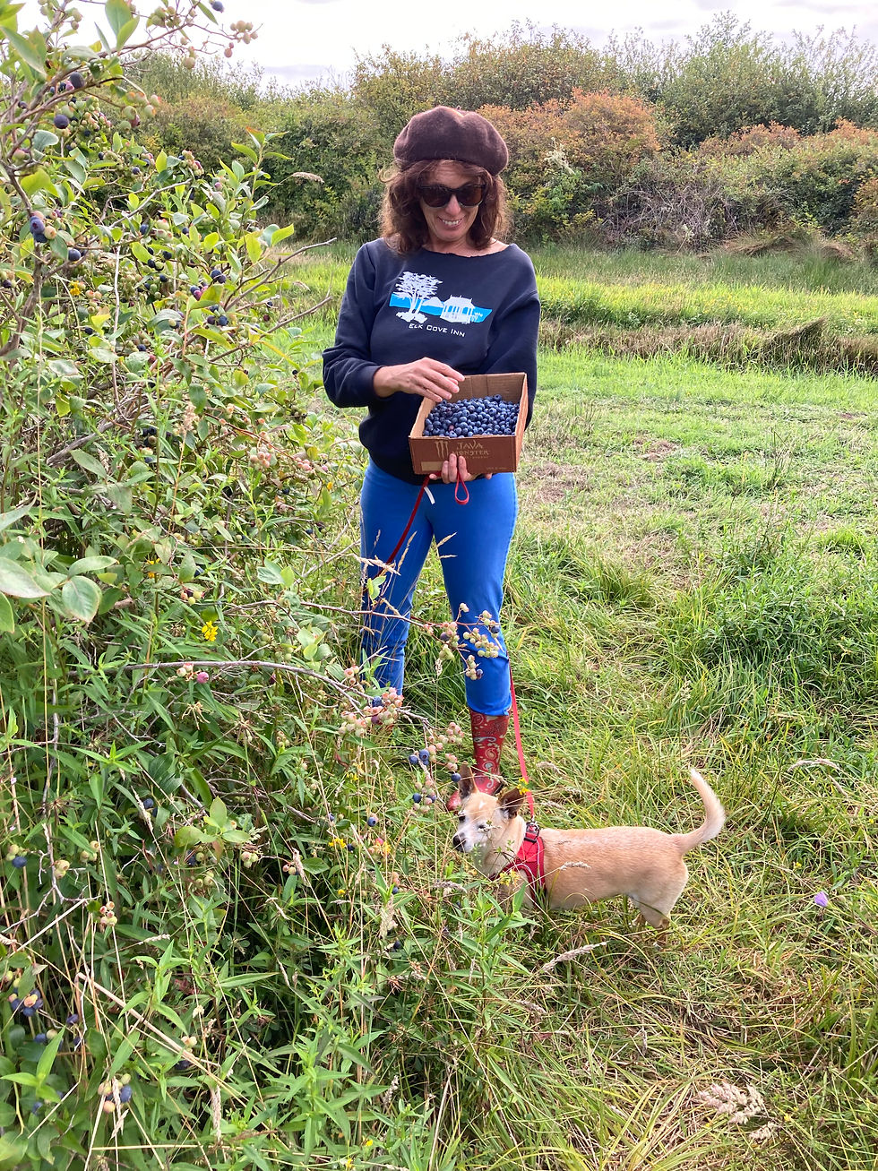 To my future carer: I too relish the delights of berry picking!