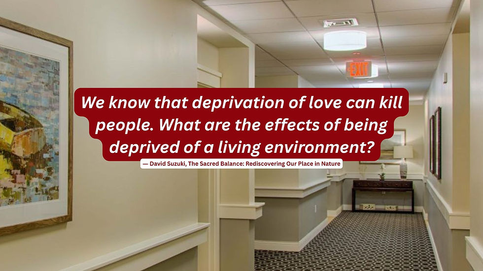 Reflections, on the 56th Earth Day