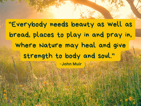 Meaningful Moments With Nature
