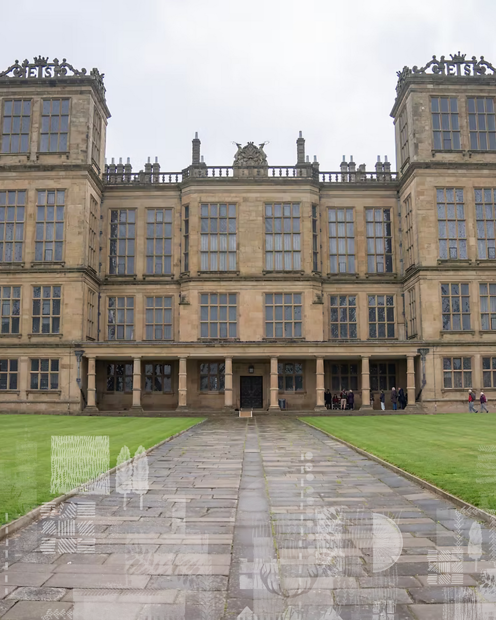 Natalie Etches, Dragonfly – Bolsover District Council