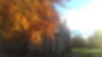 Autumn 5.jpg