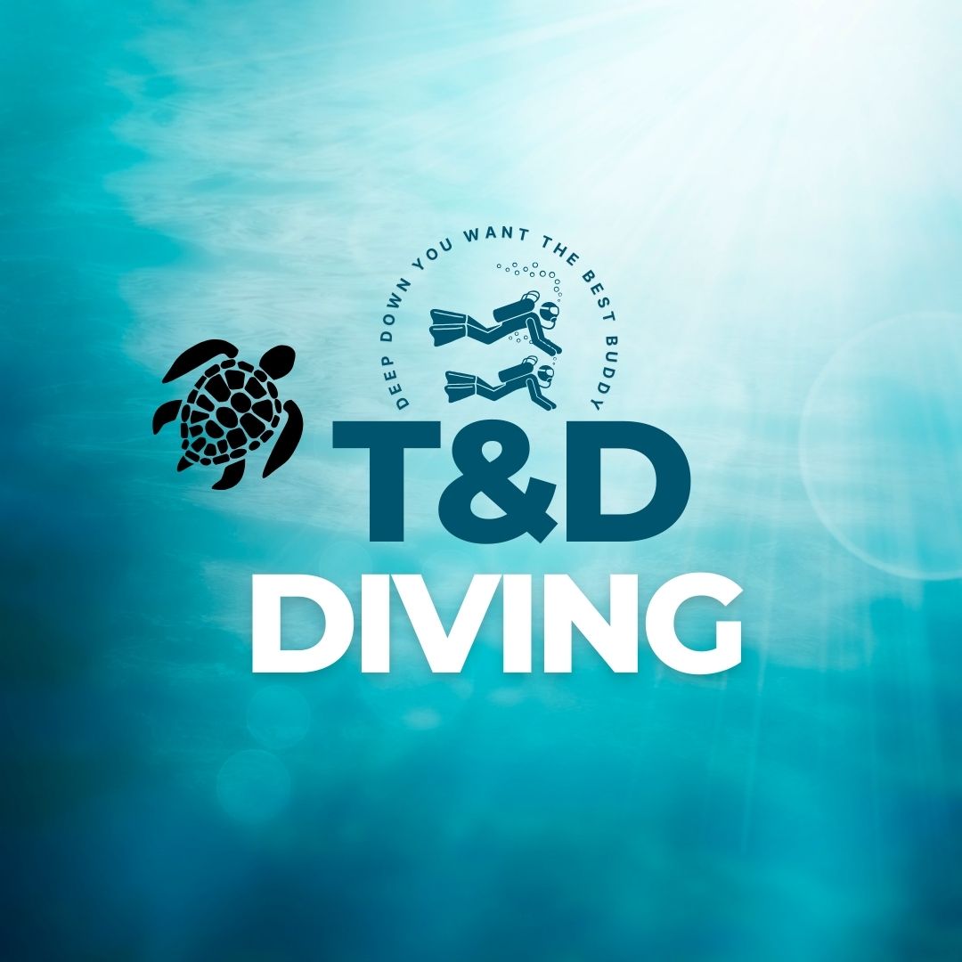 T&D DIVING