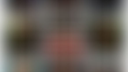 Update 29/2025