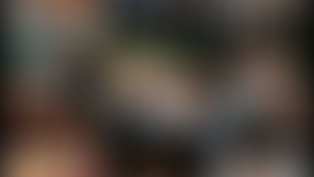 Update 17/2026