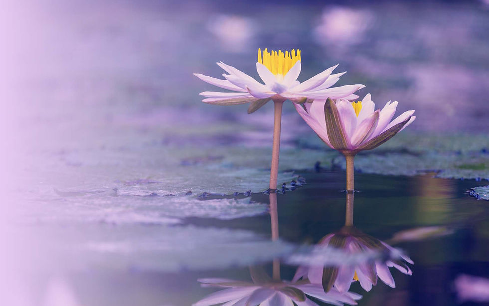 purple lotus massage heros.jpg