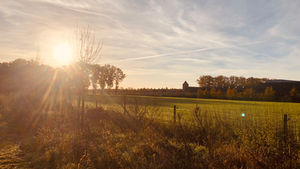 Natuur